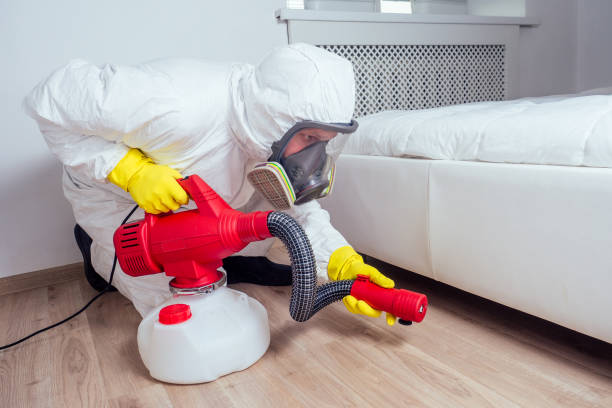 Best Local Pest Control Services  in Riverse, ID