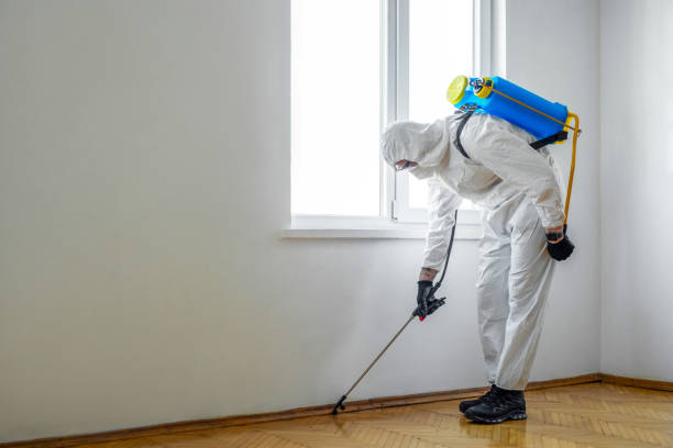 Best Pest Removal Services  in Riverse, ID