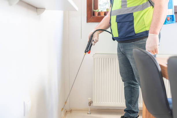Wasp Removal Services in Riverside, ID