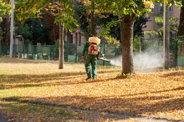 Insect Control in Riverside, ID