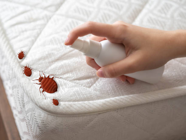 Trusted Riverside, ID Pest Control Experts