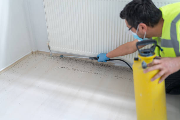 Best Pest Inspection Near Me  in Riverse, ID